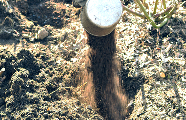 ◆4月上旬：大地肥施肥